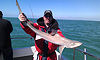 tope fishing no 20