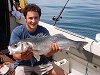 Bass fishing no 12