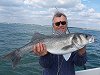 Bass fishing no 4
