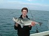 Bass fishing no 6