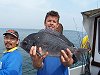 bream fishing no 1
