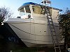 Deck nearly complete