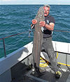 conger fishing no 9