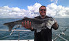 Bass fishing no 17