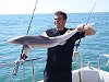 tope fishing no 13