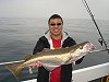 pollack fishing no 6