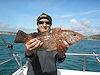 miscellaneousfish fishing no 13