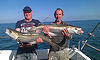 pollack fishing no 10