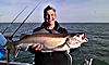 pollack fishing no 15