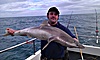 tope fishing no 26