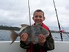 triggerfish fishing no 1