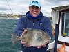 triggerfish fishing no 6